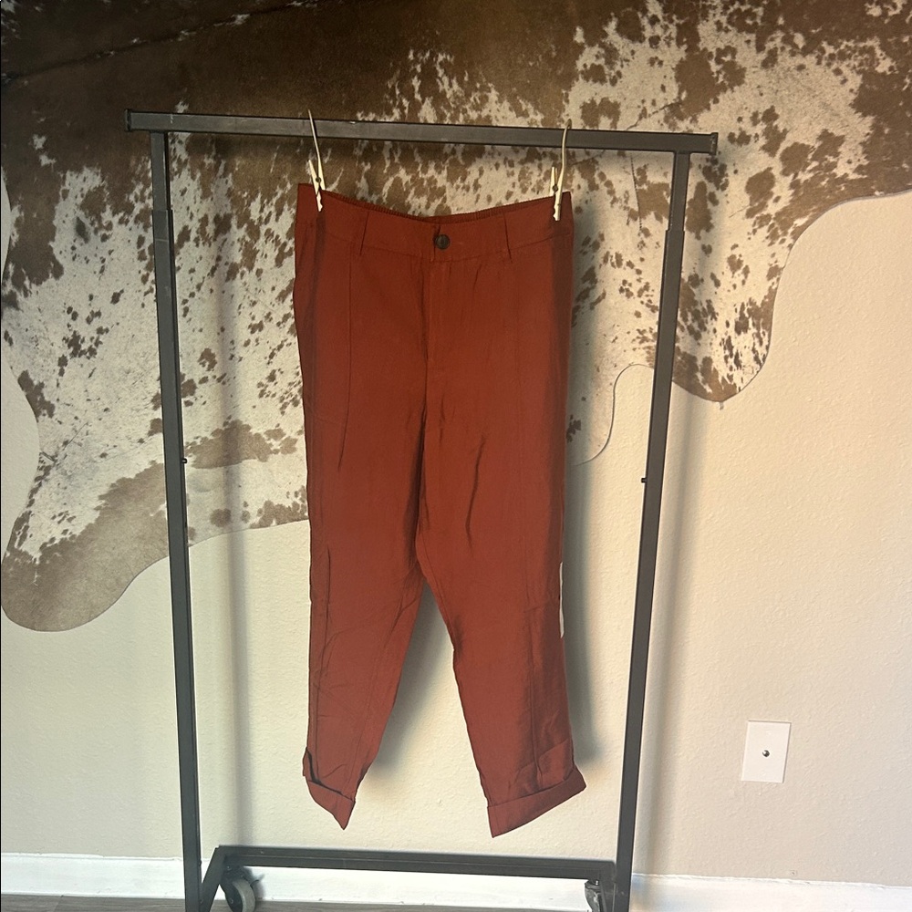 Target Slim Ankle Linen Pants - Rust Color